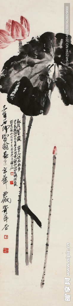 荷花