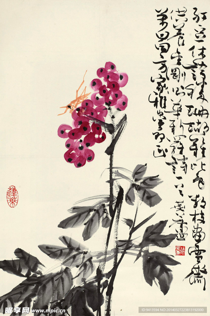 佳果螳螂