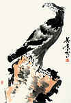 老鹰