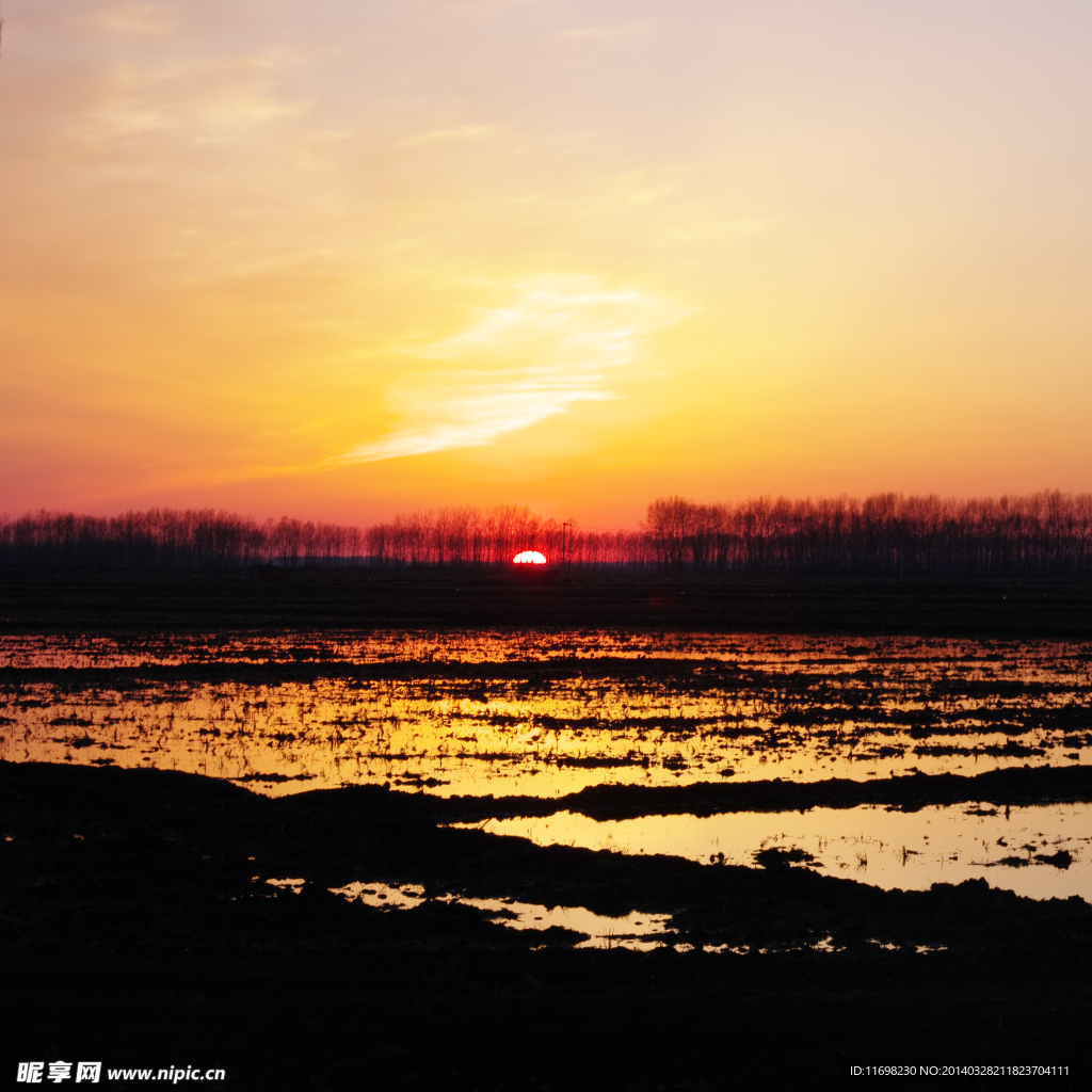 夕阳