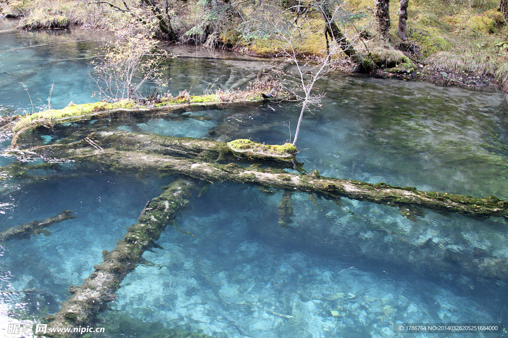九寨沟水景