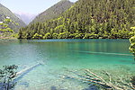 青山绿水