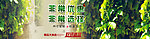 四月优惠