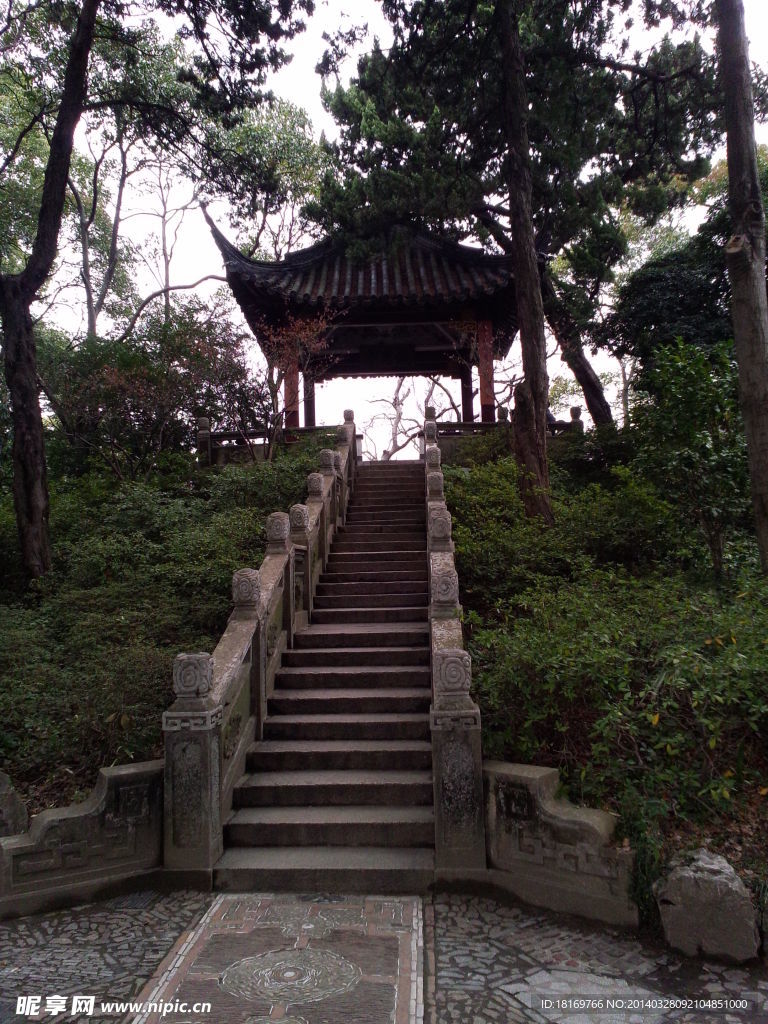 古猗园 亭子 台阶