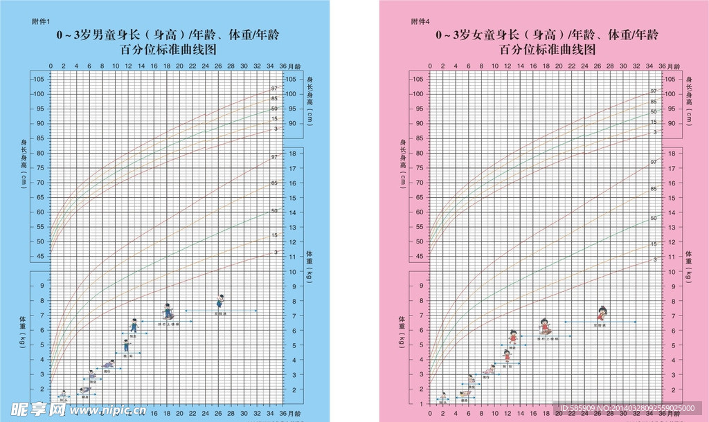 0 3岁儿童身长体重