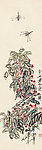 海棠蜻蜓