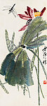 荷花