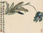 兰花