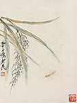 穗谷草虫