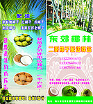 海南椰子