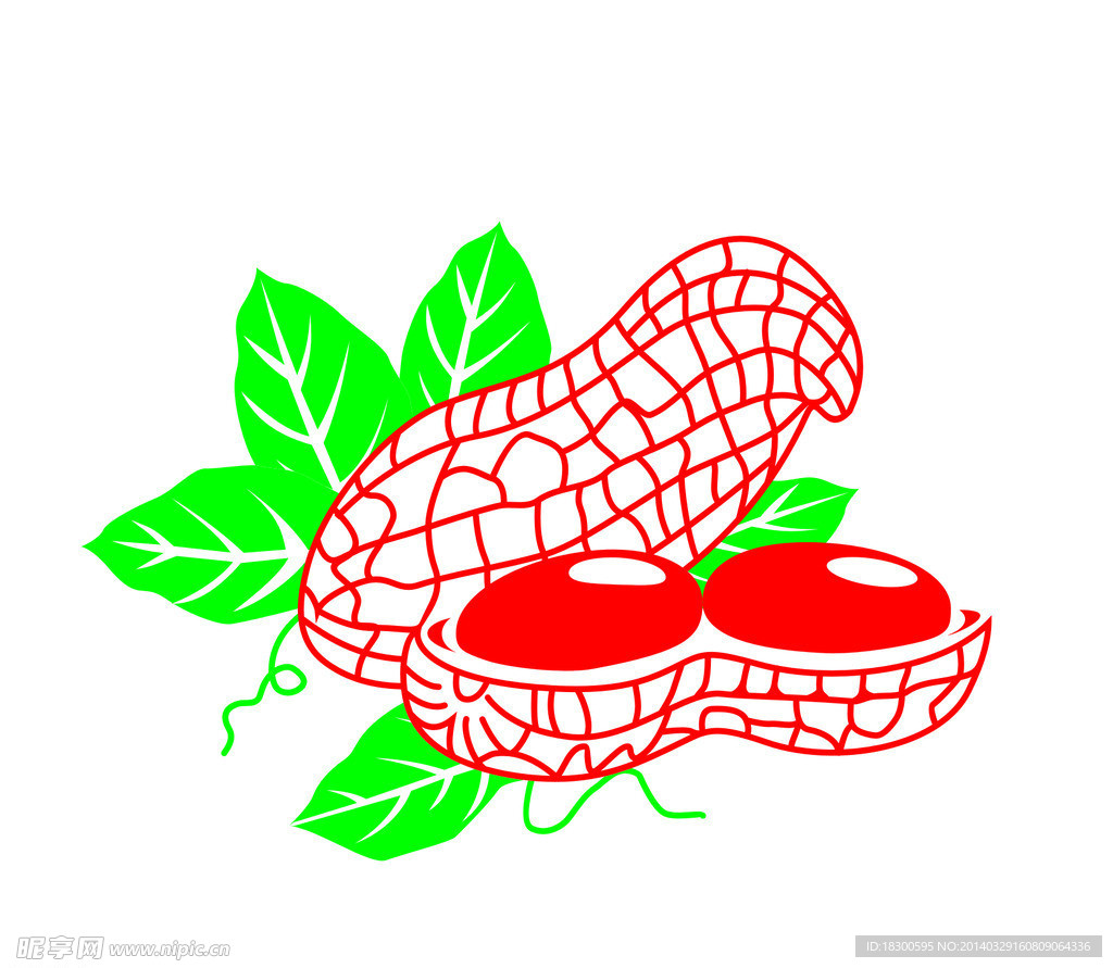 矢量花生