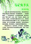 兔子头