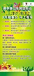 春季 春天 X展架