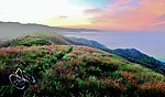 高山云海
