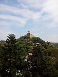 百鸟园远眺日光岩