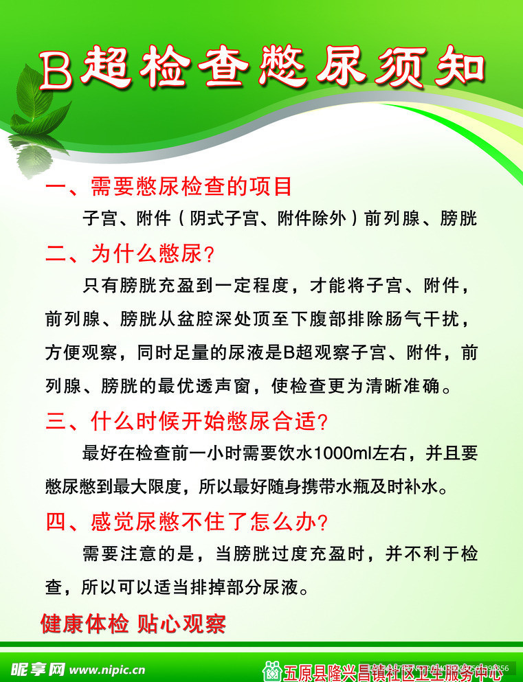 B超检查