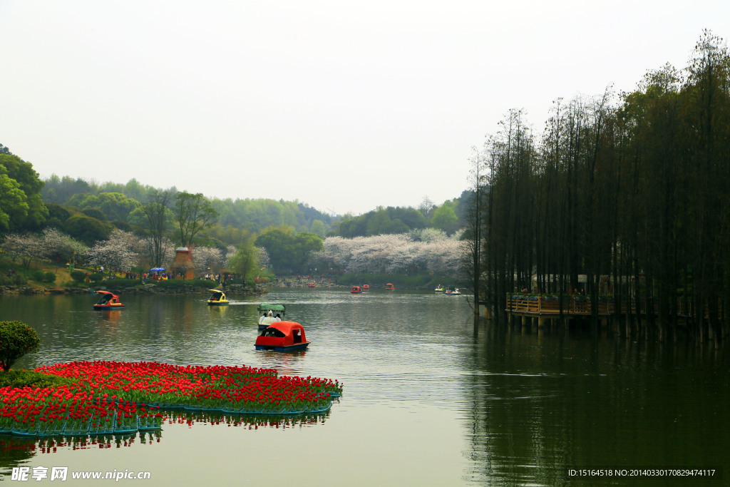 春花灿烂