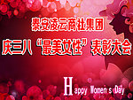 妇女节表彰大会背景