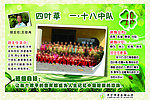 四叶草中队