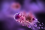 细胞微生物细菌生物学