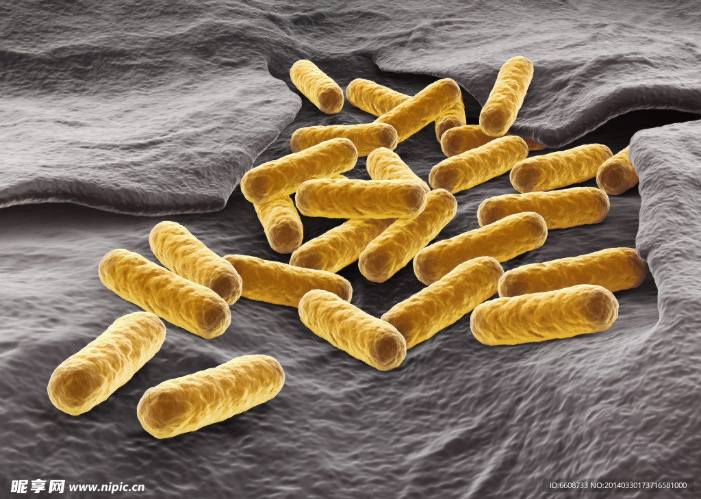 细胞微生物细菌生物学