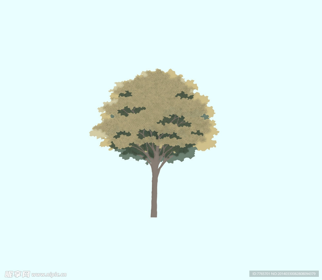 平面树