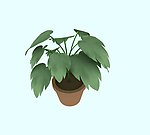 吊篮