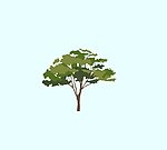 平面树