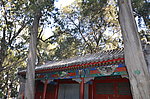 园林建筑
