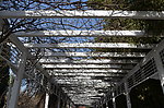 公园建筑