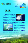 海啸