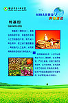 转基因