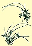 国画兰草