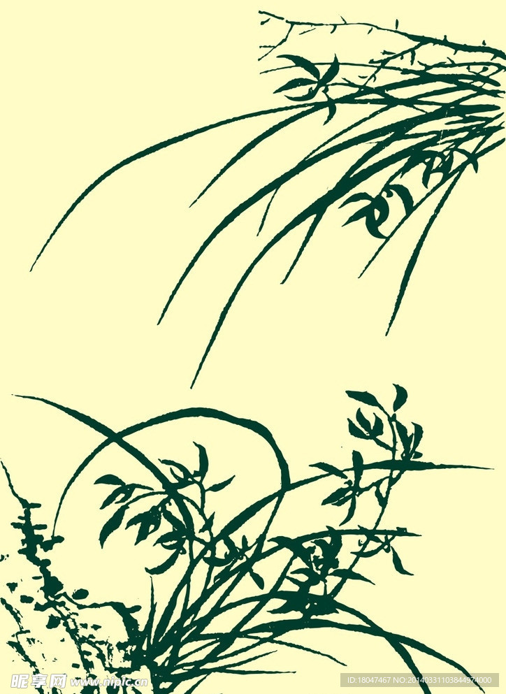 国画兰花