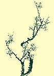 国画梅花