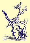 国画梅花山石