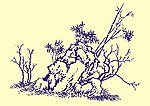 国画山石树木