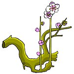 花朵