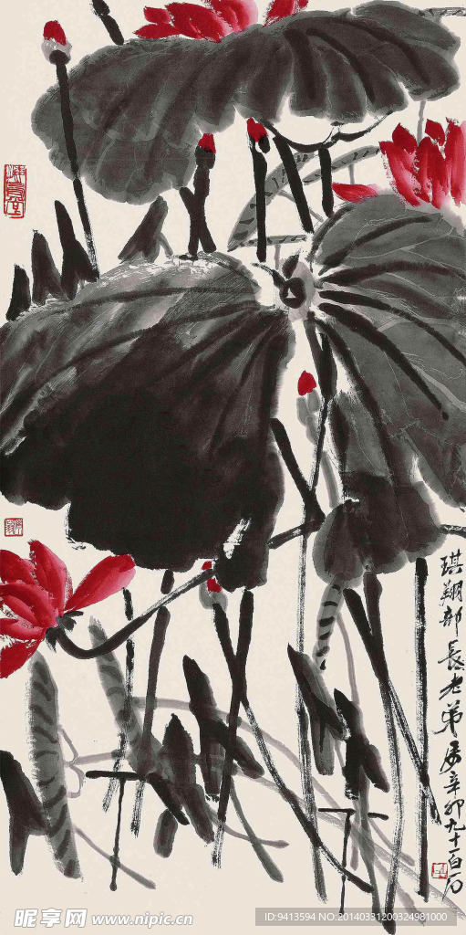 荷花
