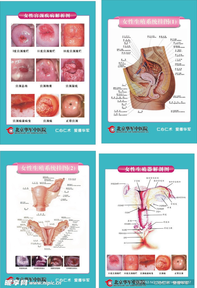 医疗挂图