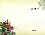 唯美花封面