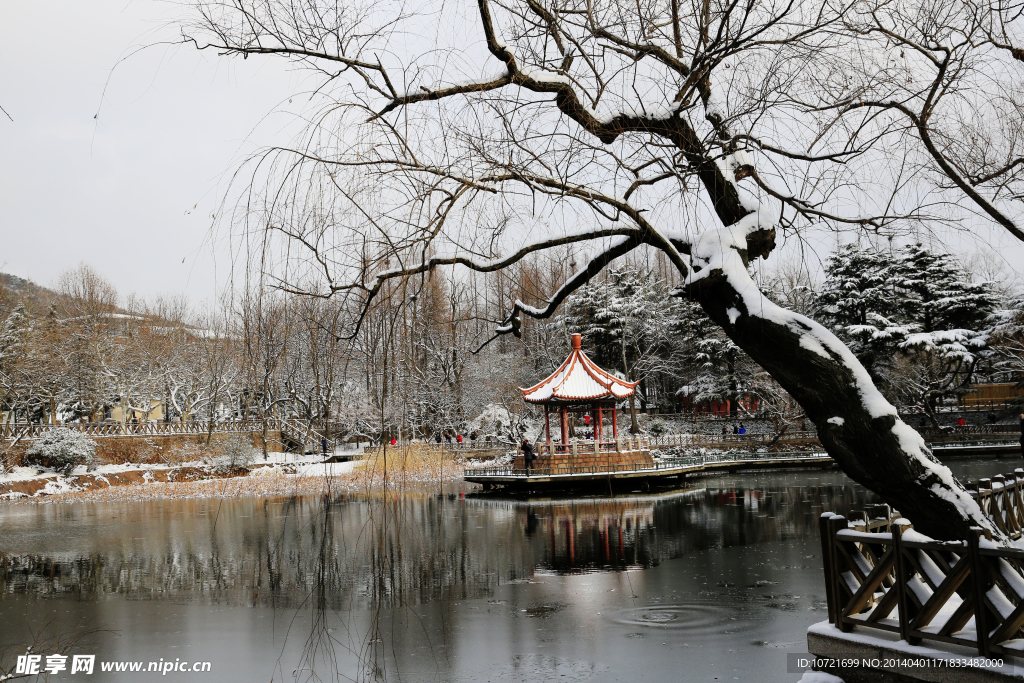 青岛的雪景