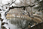 青岛雪景