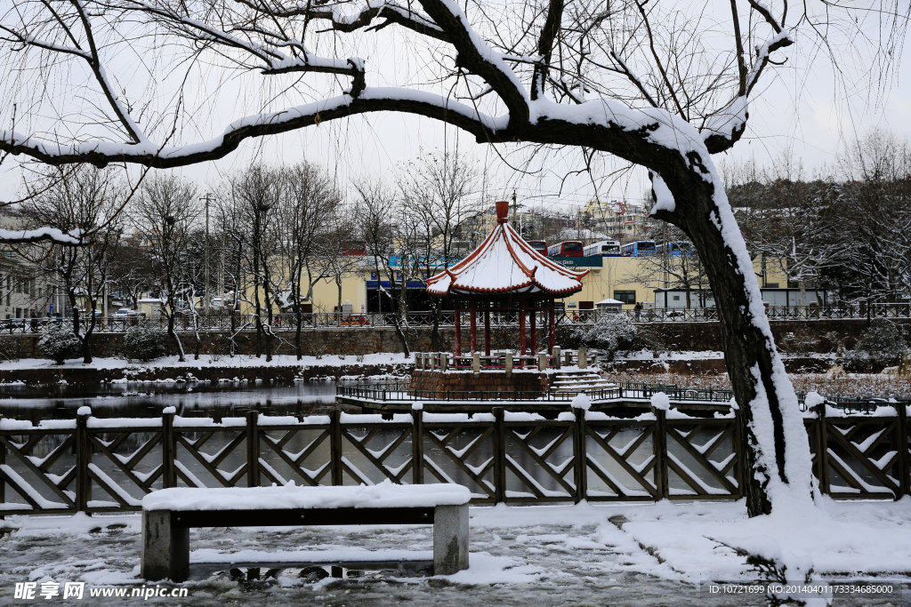 青岛雪景