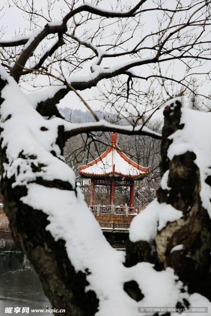 雪中青岛