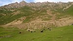 山 石 西北地貌