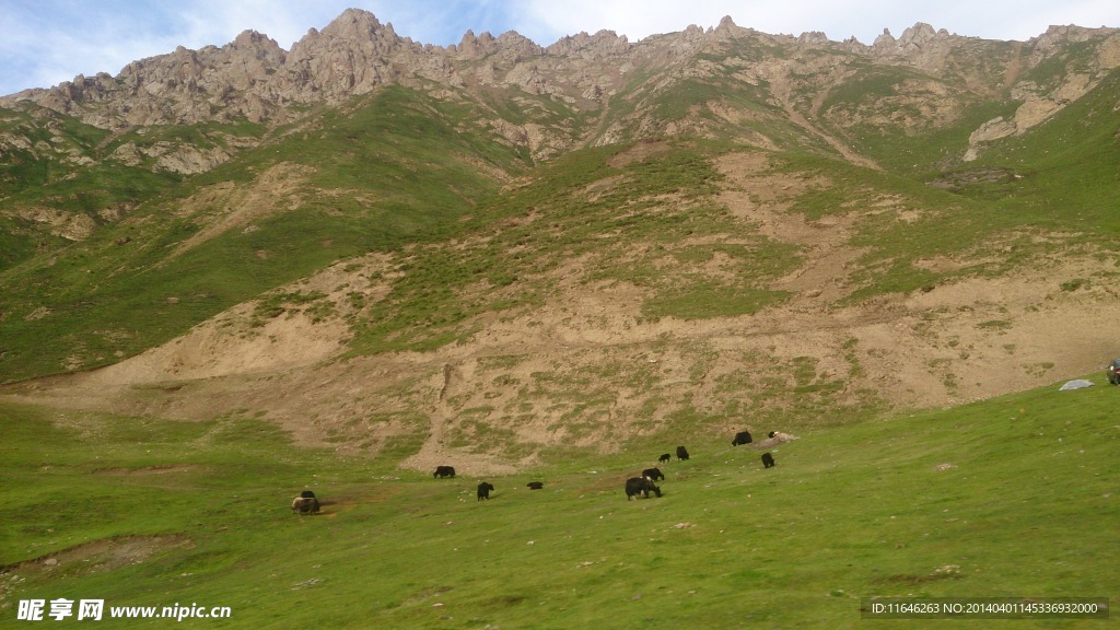 山 石 西北地貌