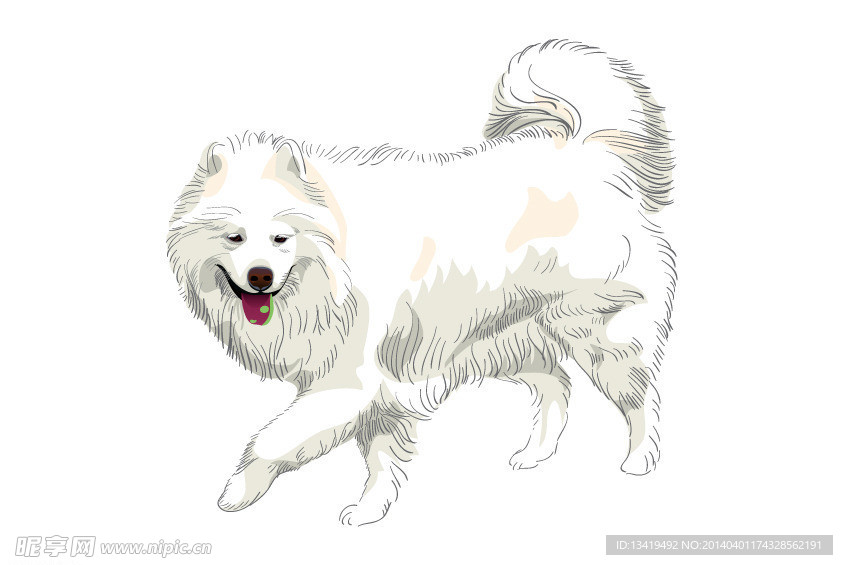 牧羊犬