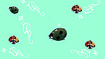 底纹 虫子