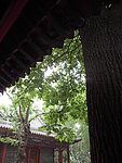 园林风景